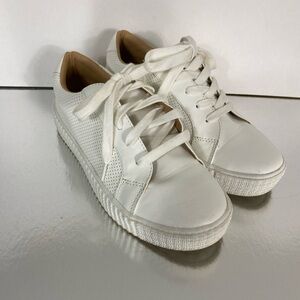 Steve Madden Woman’s Tolivar Sneakers